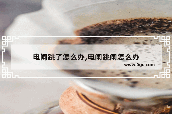 电闸跳了怎么办,电闸跳闸怎么办
