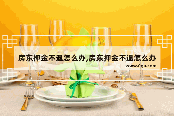 房东押金不退怎么办,房东押金不退怎么办