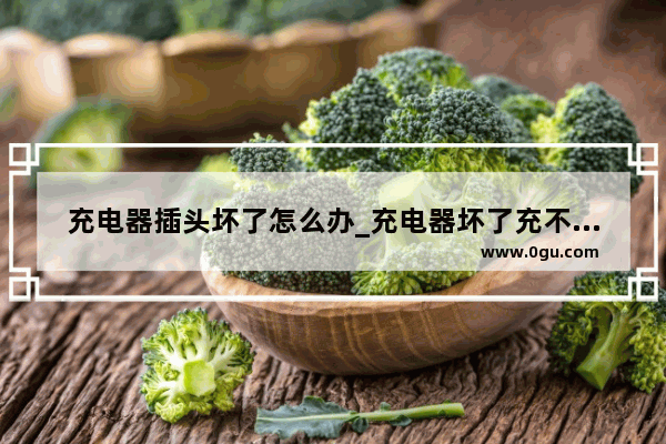 充电器插头坏了怎么办_充电器坏了充不上电怎么办怎么修
