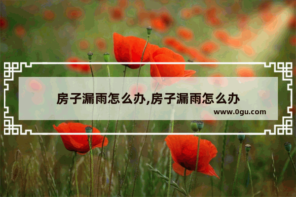 房子漏雨怎么办,房子漏雨怎么办