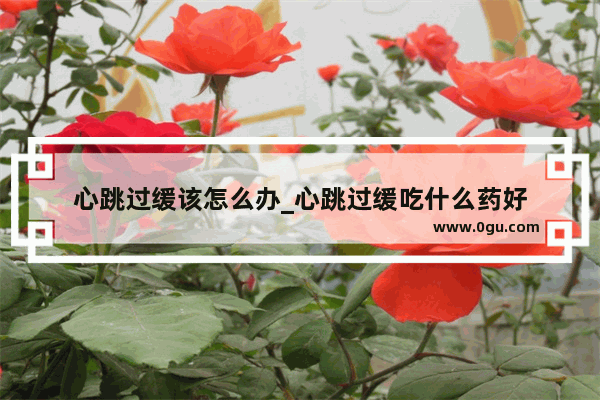 心跳过缓该怎么办_心跳过缓吃什么药好