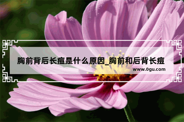 胸前背后长痘是什么原因_胸前和后背长痘 能吃什么药根治