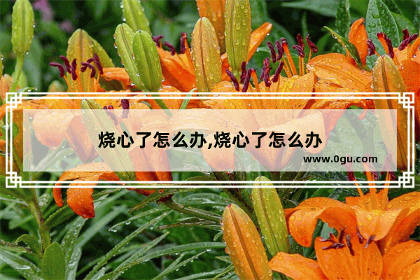 烧心了怎么办,烧心了怎么办