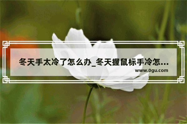 冬天手太冷了怎么办_冬天握鼠标手冷怎么办