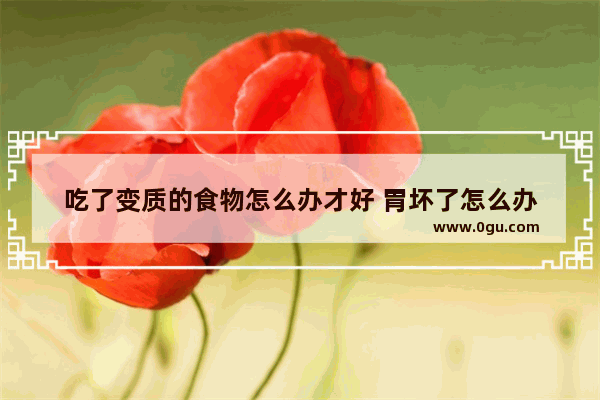 吃了变质的食物怎么办才好 胃坏了怎么办