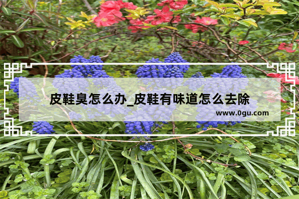 皮鞋臭怎么办_皮鞋有味道怎么去除