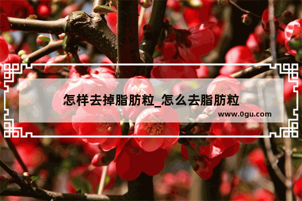 怎样去掉脂肪粒_怎么去脂肪粒