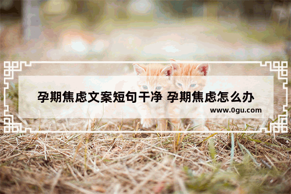 孕期焦虑文案短句干净 孕期焦虑怎么办