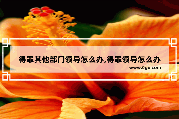 得罪其他部门领导怎么办,得罪领导怎么办