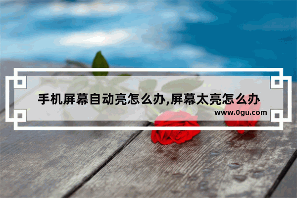手机屏幕自动亮怎么办,屏幕太亮怎么办
