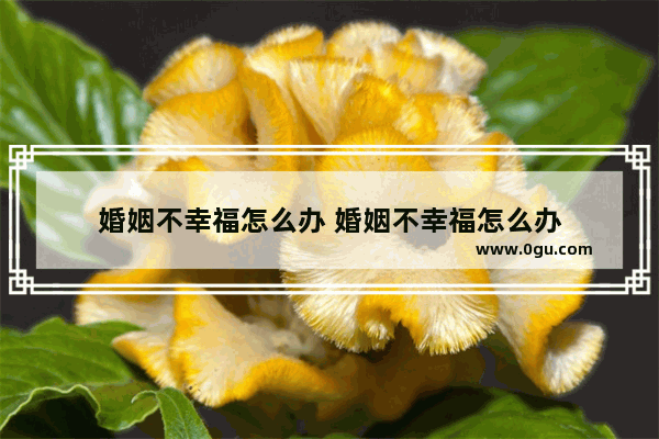 婚姻不幸福怎么办 婚姻不幸福怎么办