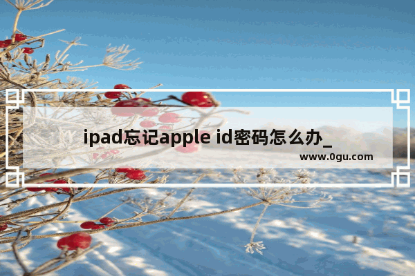 ipad忘记apple id密码怎么办_ipad忘了ID从哪里找