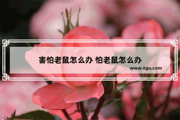 害怕老鼠怎么办 怕老鼠怎么办