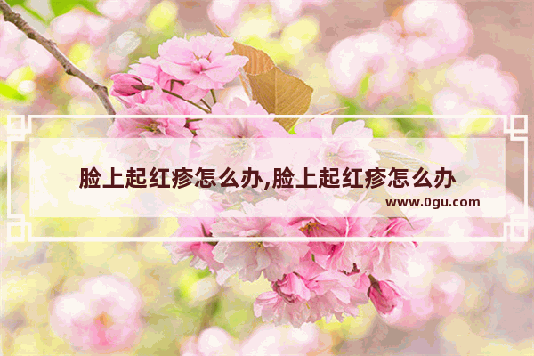 脸上起红疹怎么办,脸上起红疹怎么办