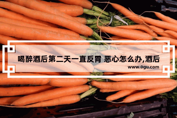 喝醉酒后第二天一直反胃 恶心怎么办,酒后想吐怎么办