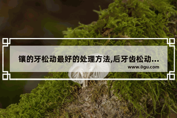 镶的牙松动最好的处理方法,后牙齿松动怎么办