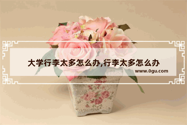 大学行李太多怎么办,行李太多怎么办