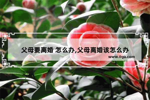 父母要离婚 怎么办,父母离婚该怎么办