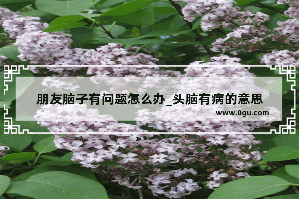 朋友脑子有问题怎么办_头脑有病的意思