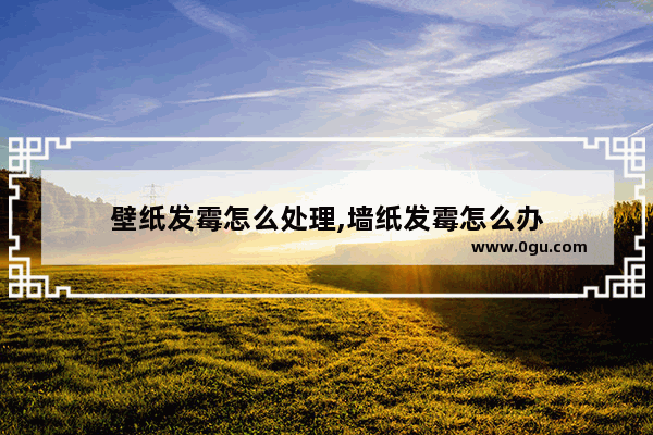 壁纸发霉怎么处理,墙纸发霉怎么办