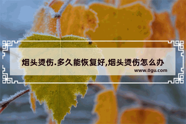 烟头烫伤.多久能恢复好,烟头烫伤怎么办
