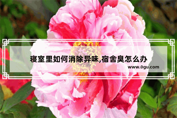 寝室里如何消除异味,宿舍臭怎么办
