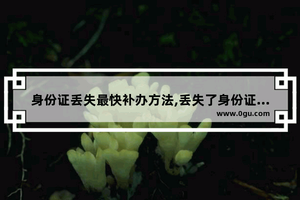 身份证丢失最快补办方法,丢失了身份证怎么办
