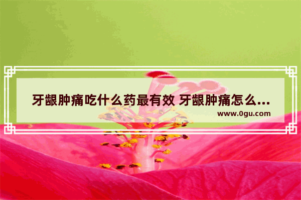 牙龈肿痛吃什么药最有效 牙龈肿痛怎么办吃什么药