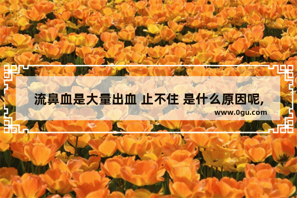 流鼻血是大量出血 止不住 是什么原因呢,鼻血止不住怎么办