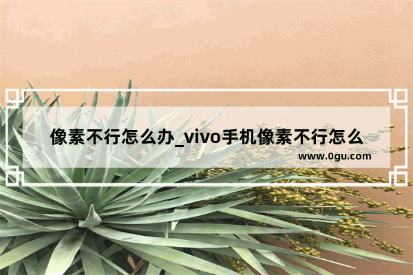 像素不行怎么办_vivo手机像素不行怎么弄