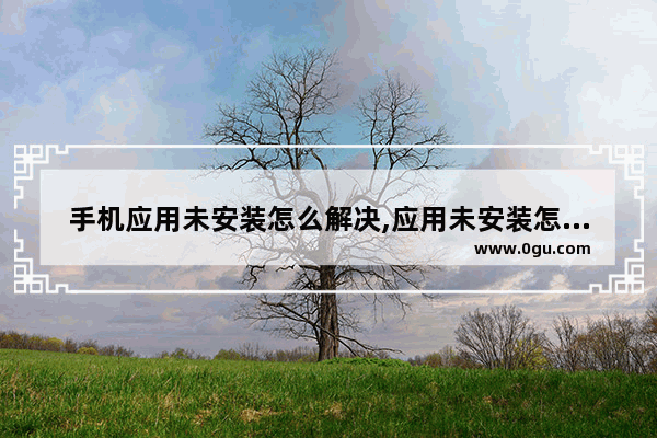 手机应用未安装怎么解决,应用未安装怎么办