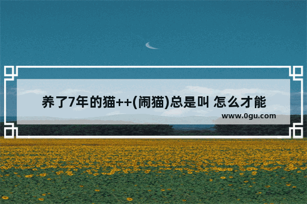 养了7年的猫++(闹猫)总是叫 怎么才能不让它叫呢_小猫一直叫个不停是什么意思