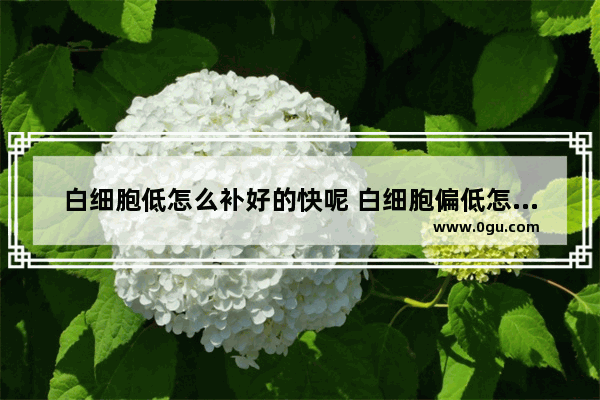 白细胞低怎么补好的快呢 白细胞偏低怎么办