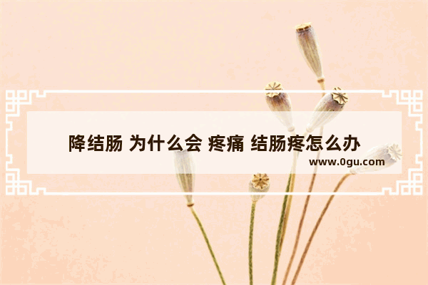 降结肠 为什么会 疼痛 结肠疼怎么办