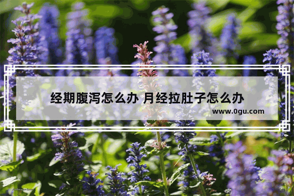 经期腹泻怎么办 月经拉肚子怎么办