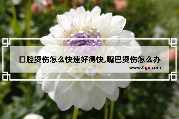 口腔烫伤怎么快速好得快,嘴巴烫伤怎么办