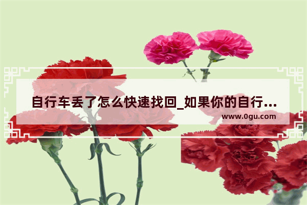 自行车丢了怎么快速找回_如果你的自行车丢了 你怎么办