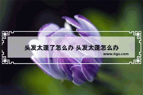 头发太蓬了怎么办 头发太蓬怎么办