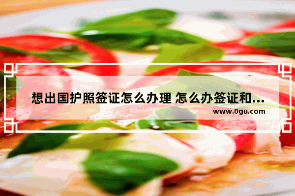 想出国护照签证怎么办理 怎么办签证和护照