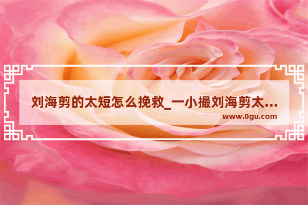 刘海剪的太短怎么挽救_一小撮刘海剪太短了怎么办