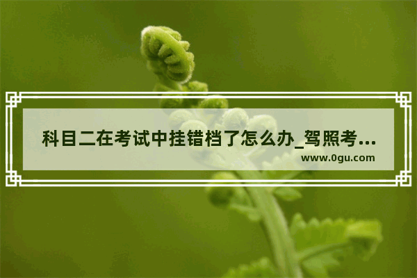 科目二在考试中挂错档了怎么办_驾照考试科目二挂了 觉得好丢人怎么办