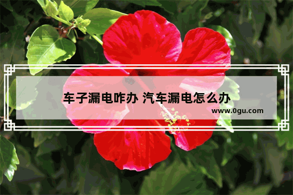车子漏电咋办 汽车漏电怎么办
