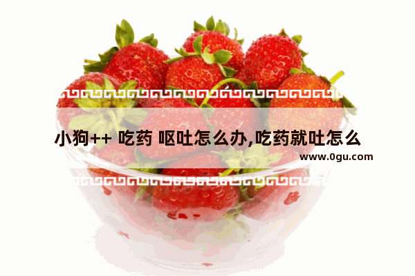 小狗++ 吃药 呕吐怎么办,吃药就吐怎么办