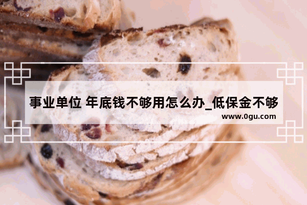 事业单位 年底钱不够用怎么办_低保金不够用怎么申请