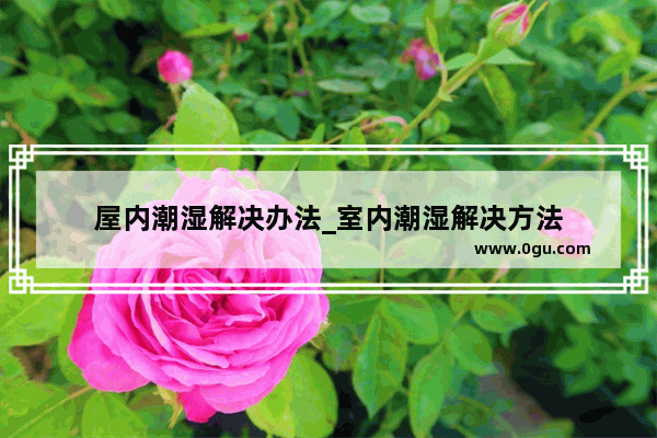 屋内潮湿解决办法_室内潮湿解决方法
