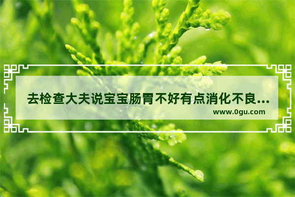 去检查大夫说宝宝肠胃不好有点消化不良 这该怎么调理呢,宝宝消化不好怎么办