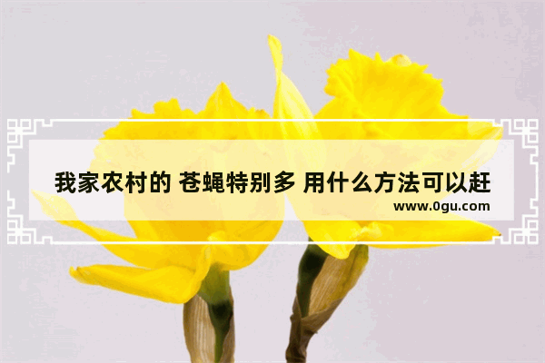 我家农村的 苍蝇特别多 用什么方法可以赶走这些个可恶的家伙 苍蝇太多怎么办