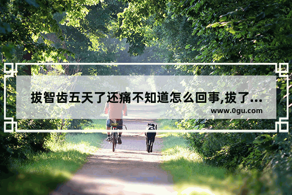 拔智齿五天了还痛不知道怎么回事,拔了智齿疼怎么办