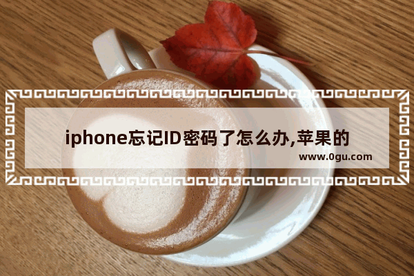 iphone忘记ID密码了怎么办,苹果的id密码忘了怎么办