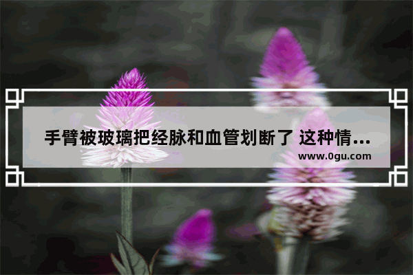 手臂被玻璃把经脉和血管划断了 这种情况该如何进行治疗 血管断了怎么办